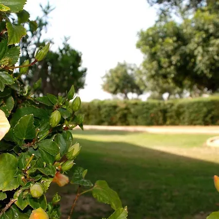 3 Bedroom Paparouna With Private Pool, Aphrodite Hills Kouklia